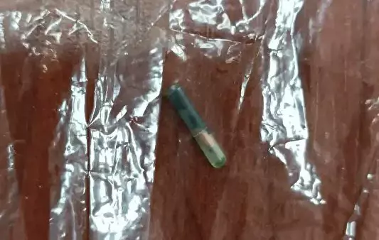 Belediye aşevinin dağıttığı kavurmanın içinde yarış atı çipi çıktı!