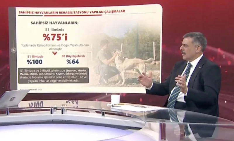 İçişleri Bakanı açıkladı: Sokak hayvanlarının yüzde 75'i barınaklara yerleştirildi