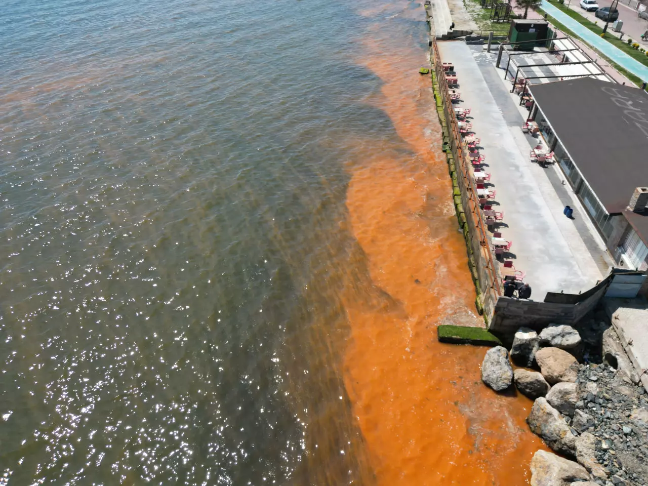 Marmara denizinde endişe yaratan görüntü: Turuncuya dönüşen deniz için uzmanlardan açıklama geldi...