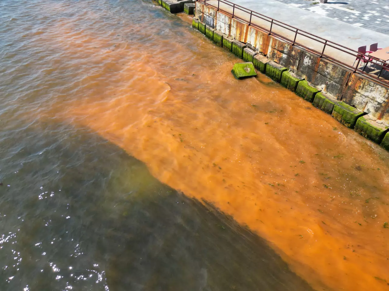 Marmara denizinde endişe yaratan görüntü: Turuncuya dönüşen deniz için uzmanlardan açıklama geldi...