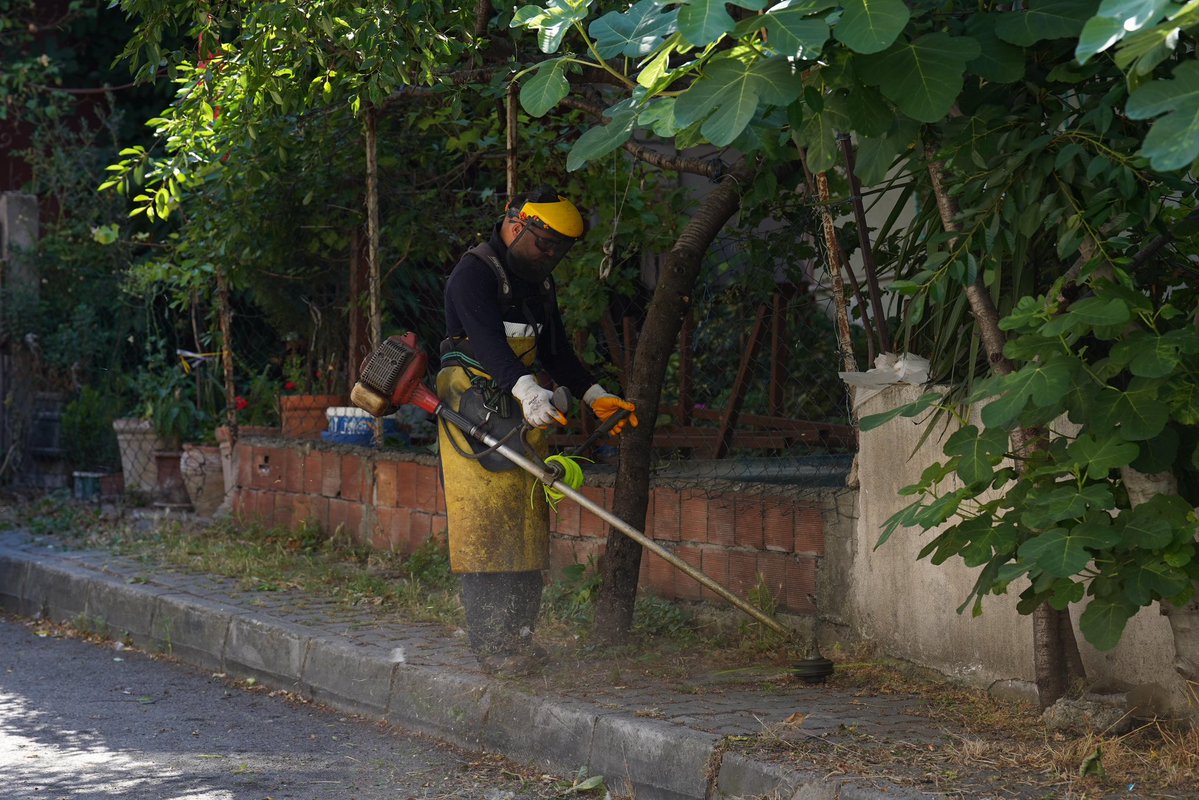 Tuzla Belediyesi'nden yaz öncesi kapsamlı ot biçme çalışması