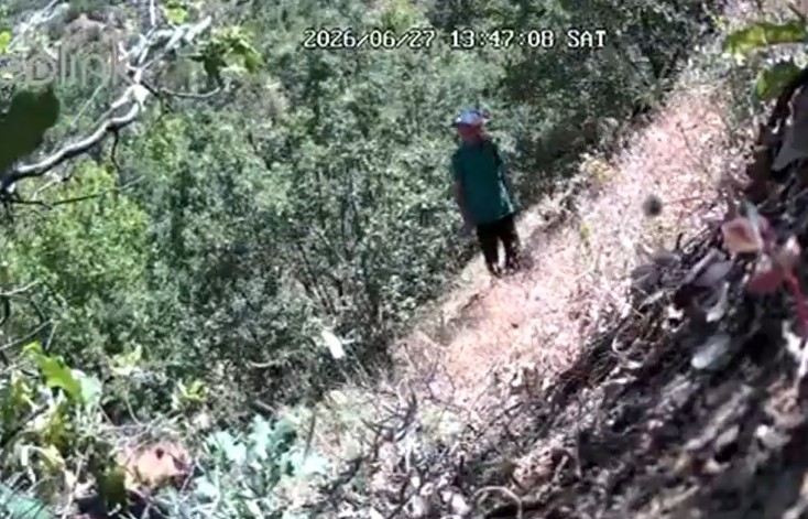 CHP'li başkan ve oğulu kenevir ekerken foto kapana yakalandı