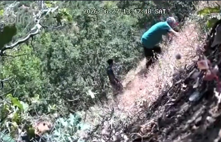 CHP'li başkan ve oğulu kenevir ekerken foto kapana yakalandı