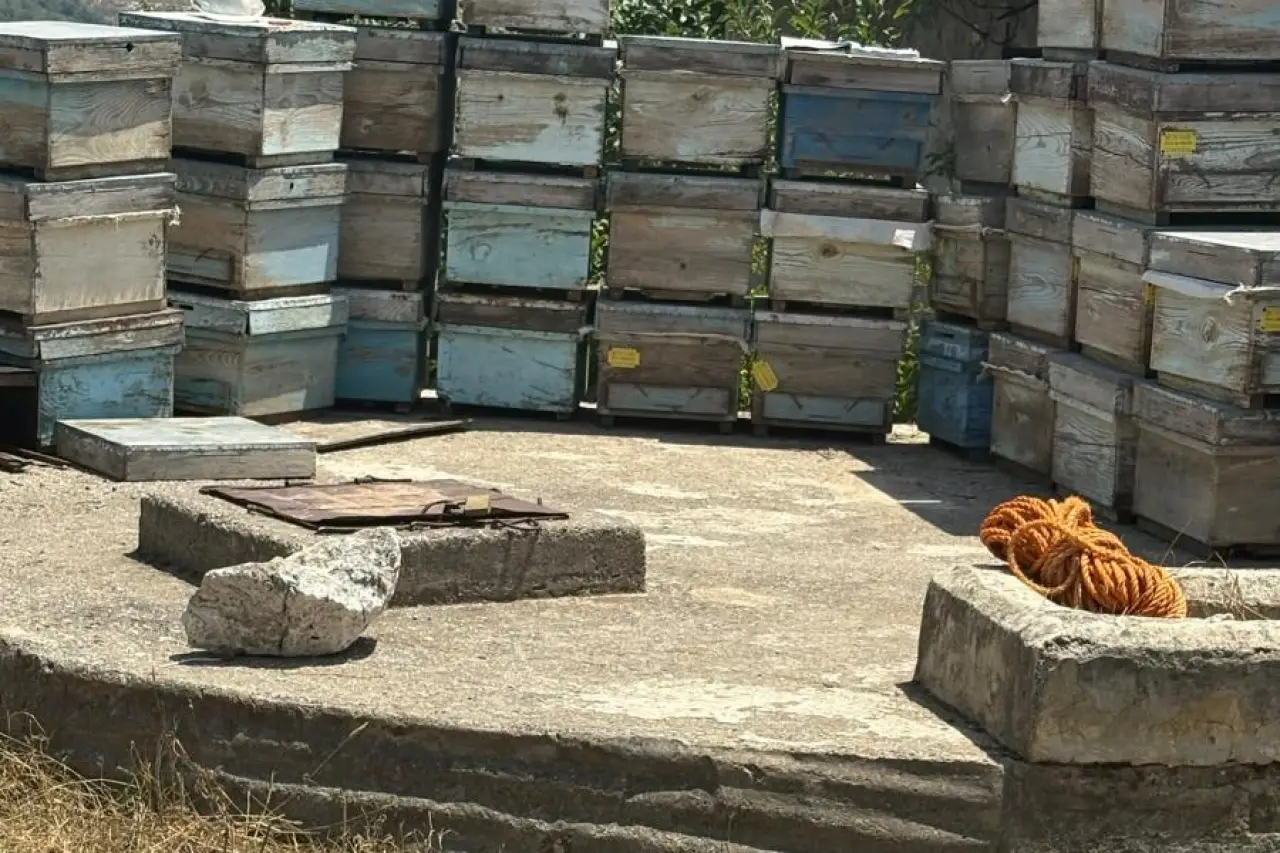 Kayıp 4 çocuk annesi kadının cesedi kuyuda bulundu!