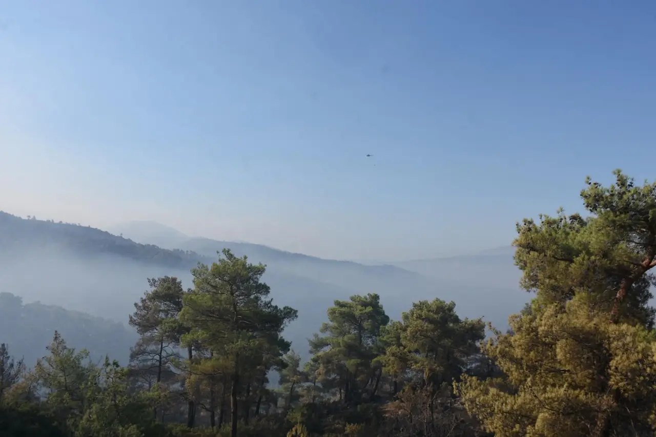Aydın'da orman yangınları 'Dur durak' bilmiyor: 3. günde de ekiplerin müdahalesi sürüyor