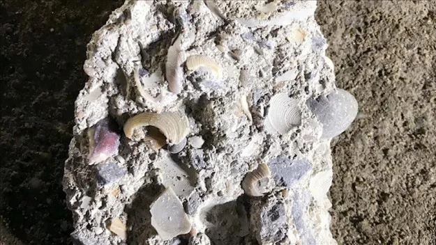 Maltepe’deki çöken binada korkunç detay: 5 kişiye mezar olan betondan deniz kabuğu çıktı!