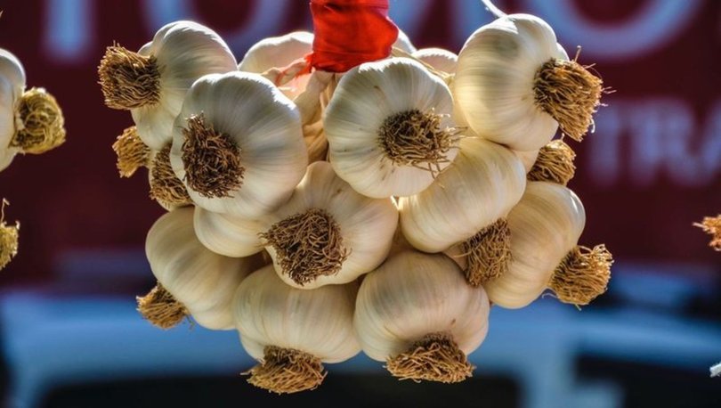 Sarımsağın faydaları nelerdir? Hangi hastalıklara iyi gelir?