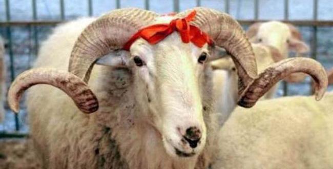 Kurban Bayramı ne zaman? Kurban Bayramı tatili kaç gün olacak?