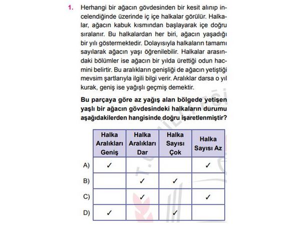 LGS Nedir? | İşte Soru Örnekleri 