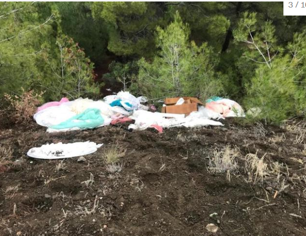 Ormanlık alanda bulunan gelinlikler şaşırttı