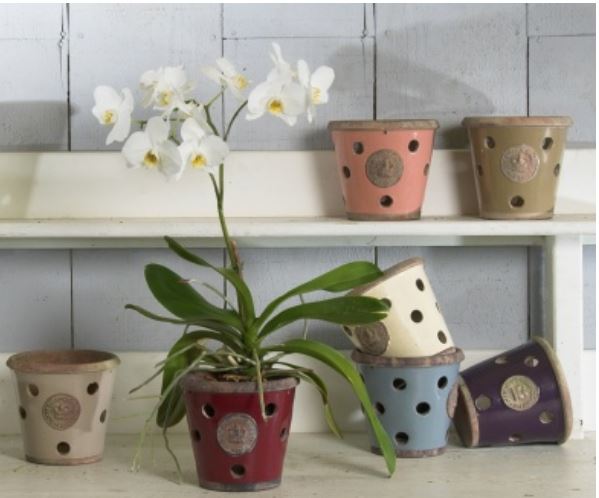 Orkide nasıl bakılır? Orkide saksısı nasıl olmalı?