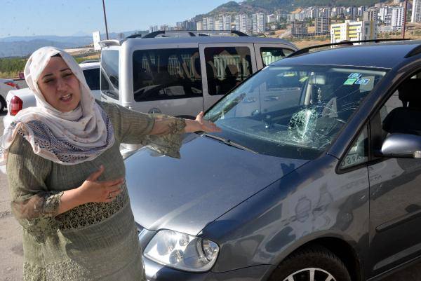 Çardağı kırılan işletme sahibi piknik yapan aileye saldırdı