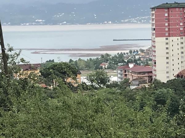 Ordu'da sel fındıklıkları da vurdu! Tonlarca fındık denize döküldü