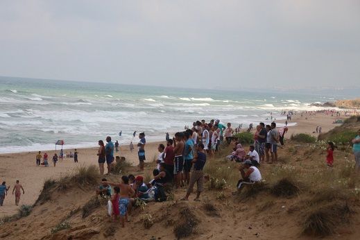 3_2255.jpg 3_2255.jpg