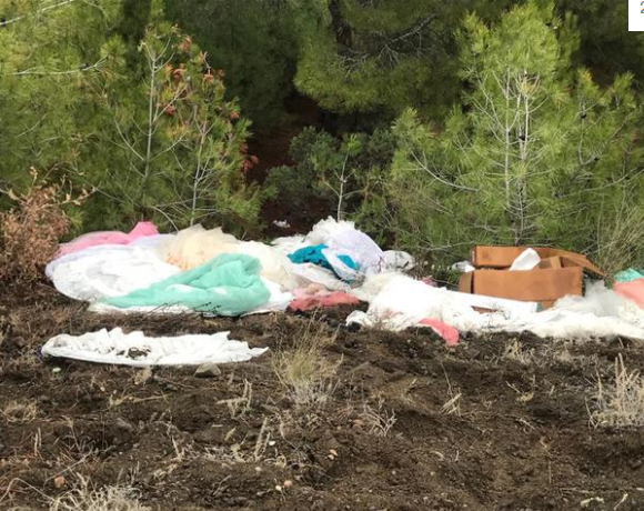 Ormanlık alanda bulunan gelinlikler şaşırttı