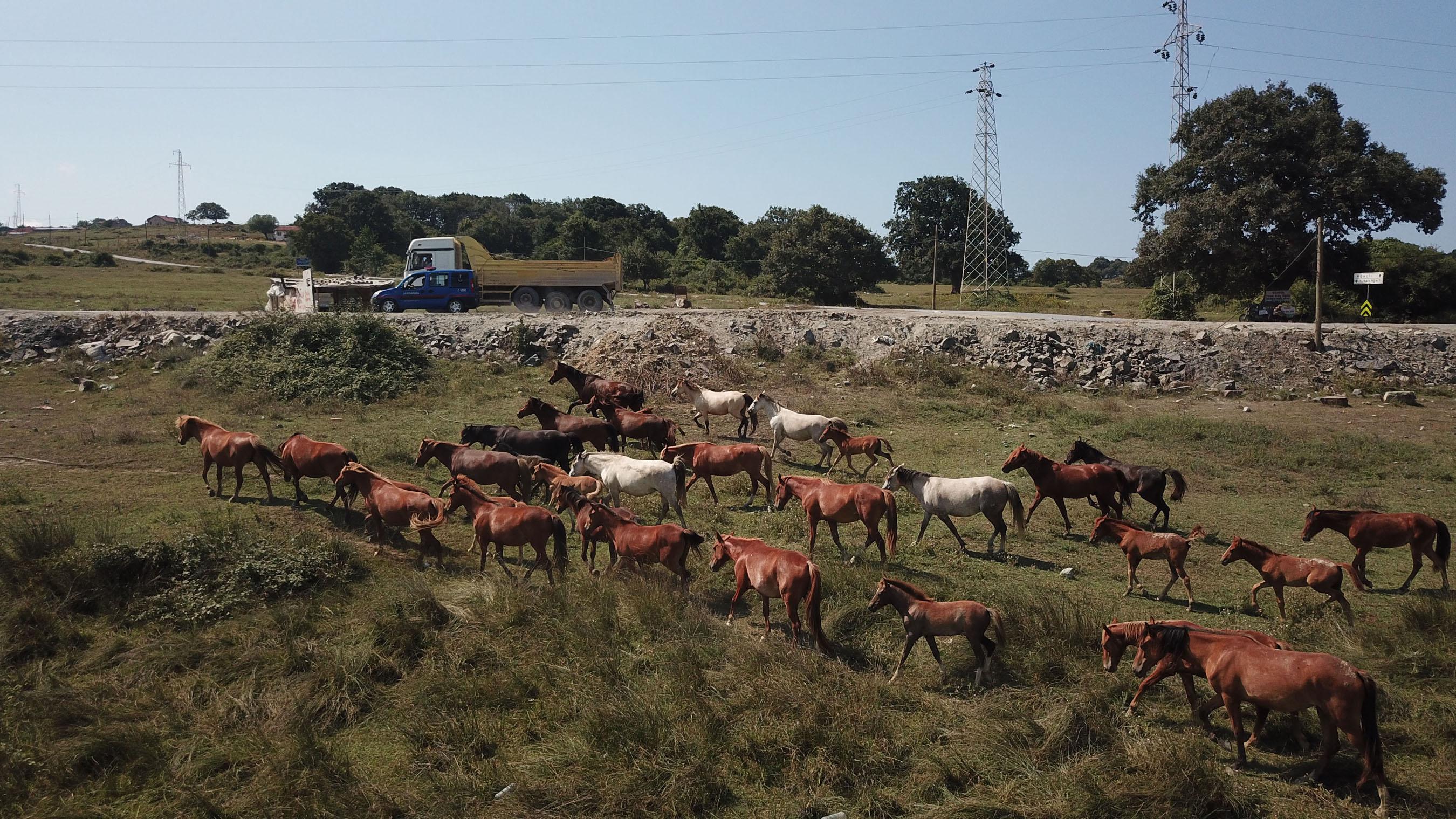 3 köy Türkiye'nin Hollywood'u oluyor