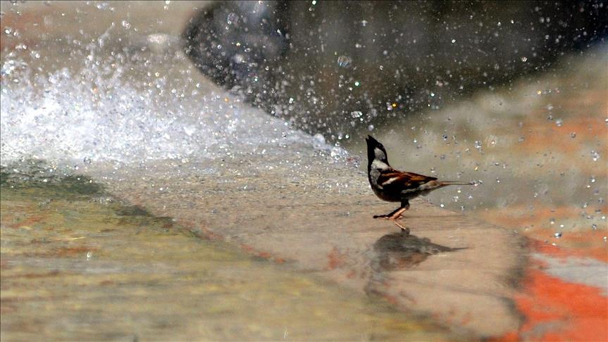 Eyyam-ı Bahur ne zaman 2019? Eyyam-ı Bahur nedir? Eyyam-ı Bahur ne demek?