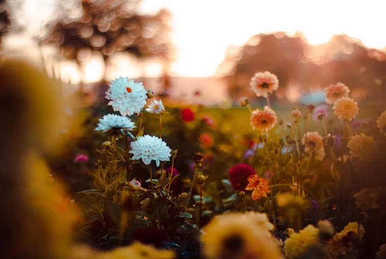 Atla Gel Şaban filminin konusu nedir? Oyuncuları kimdir? Nerede ve kaç yılında çekildi?