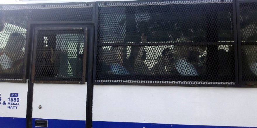 Kedicik yüzsüzlüğü! El sallayarak geldiler