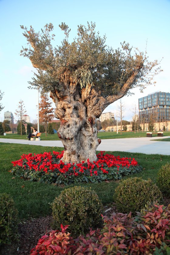 İstanbul'a 5 yeni Millet Bahçesi açılıyor