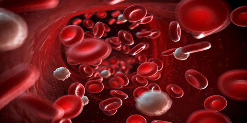 Kaçış Sendromu nedir? Nedeni nedir? Belirtileri nelerdir? Tedavisi nasıldır?