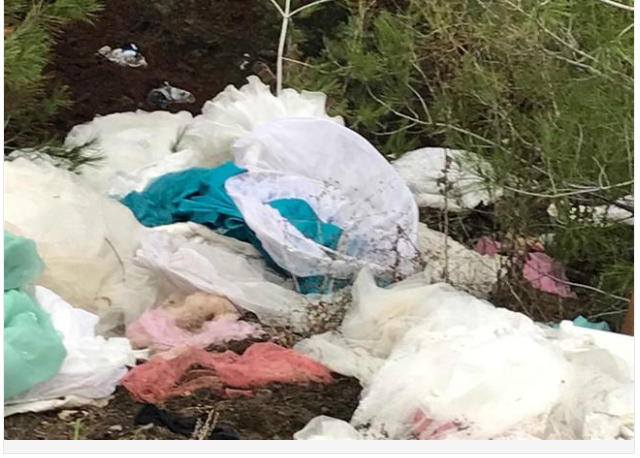 Ormanlık alanda bulunan gelinlikler şaşırttı