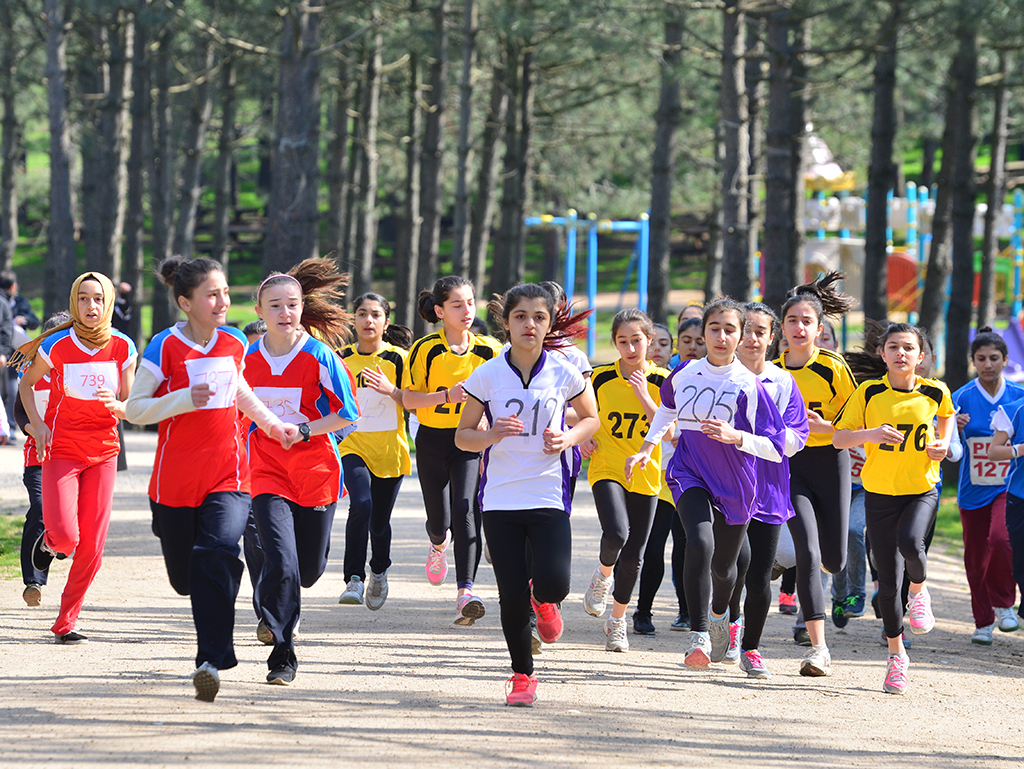 550bddbe5b403_arc-1523.jpg 550bddbe5b403_arc-1523.jpg