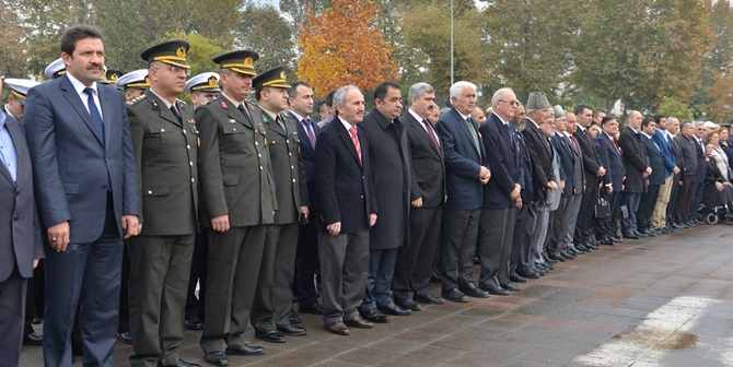 5641ab9c80b1c_ork-1041.jpg 5641ab9c80b1c_ork-1041.jpg