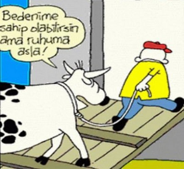 Kurban Bayramı mesajları 2022 | Resimli, güzel ,kısa, uzun Kurban Bayramı tebrik, kutlama mesajları