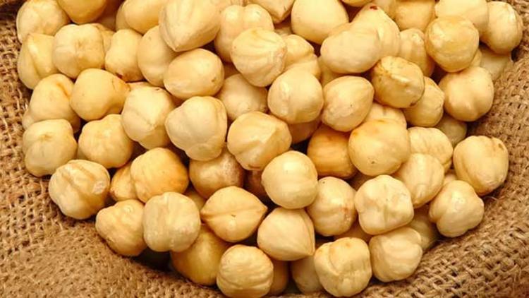 Cumhurbaşkanı Erdoğan fındık fiyatlarını açıkladı