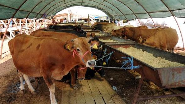 Kurban Bayramının 4. günü kurban kesilir mi? 