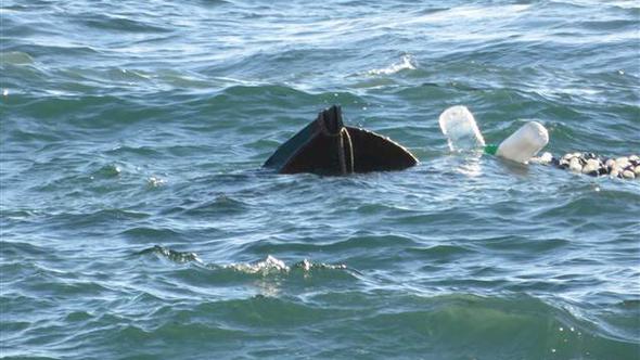 Pendik sahilinde can pazarı | Tekne Battı
