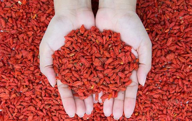 Goji Berry (Kurt üzümü) nedir? Faydaları ve zararları nelerdir?