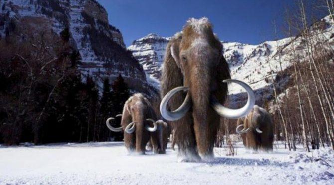 Soyu Tükenen Mamutlar Geri Dönüyor Bizi Mamutlar Kurtaracak