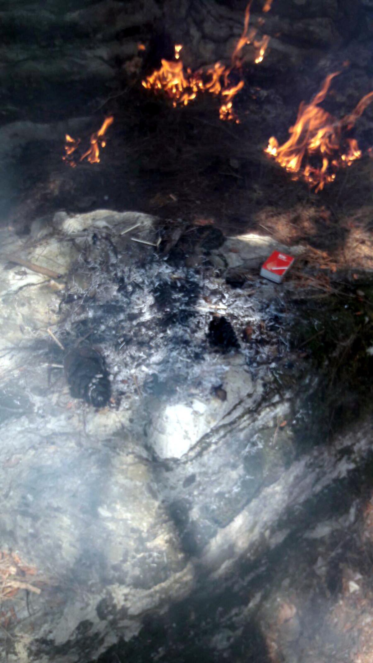 Marmaris'te ormanı kundakladılar! 3 Ayrı yerde yangın!