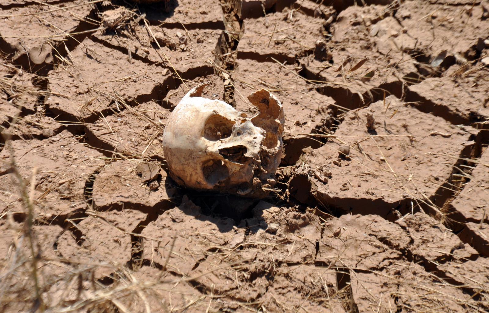 Çobanın bulduğu insan kafatası herkesi dehşete düşürdü