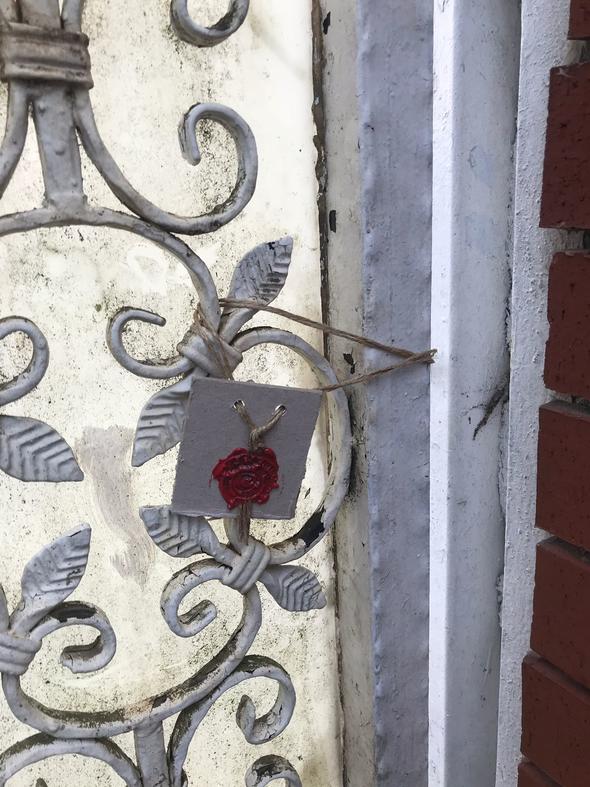 Adnan Oktar'ın "aslan kedisi" sokakta kaldı !