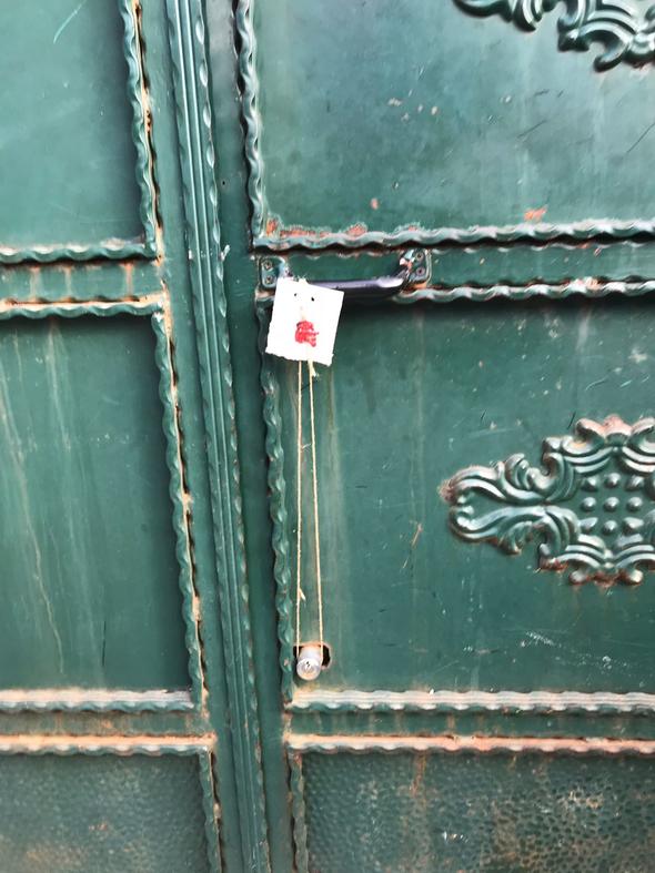 Adnan Oktar'ın "aslan kedisi" sokakta kaldı !