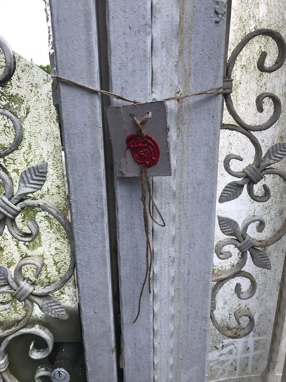 Adnan Oktar'ın "aslan kedisi" sokakta kaldı !