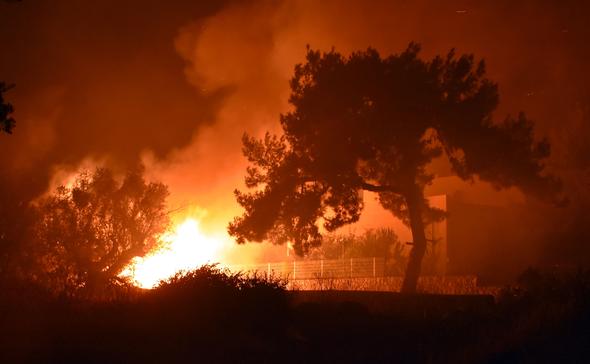 Bodrum'da gece çıkan yangın herkesi korkuttu