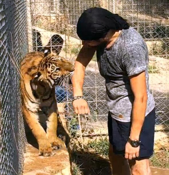Kobra ısırığından Mısır'a gönderilen Aref'ten haber geldi! Kolunda his kaybı var