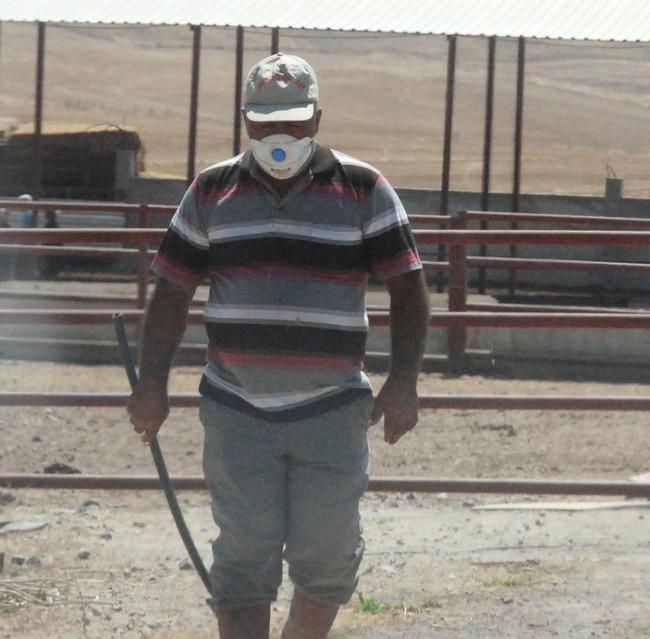 ETK'dan şarbon açıklaması: Etlerin piyasaya sürülmesi söz konusu değil