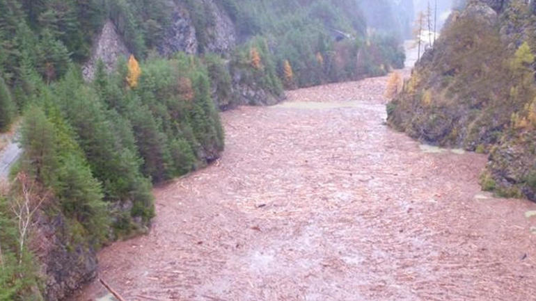 İtalya'da facia! 20 kişi hayatını kaybetti, 14 milyon ağaç devrildi