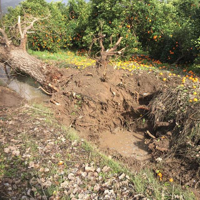 Antalya'da hortum çıktı yaralılar var!