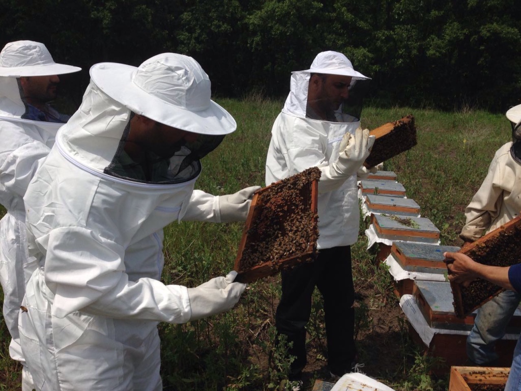 Pendik'te meslek edindirme kurslarına yoğun ilgi gösteriliyor