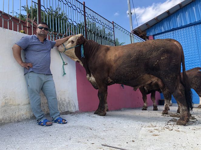 3 tonluk kurbanlık boğanın fiyatı duyanları şoka uğrattı!