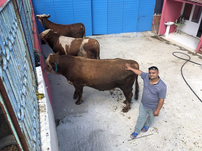 3 tonluk kurbanlık boğanın fiyatı duyanları şoka uğrattı!