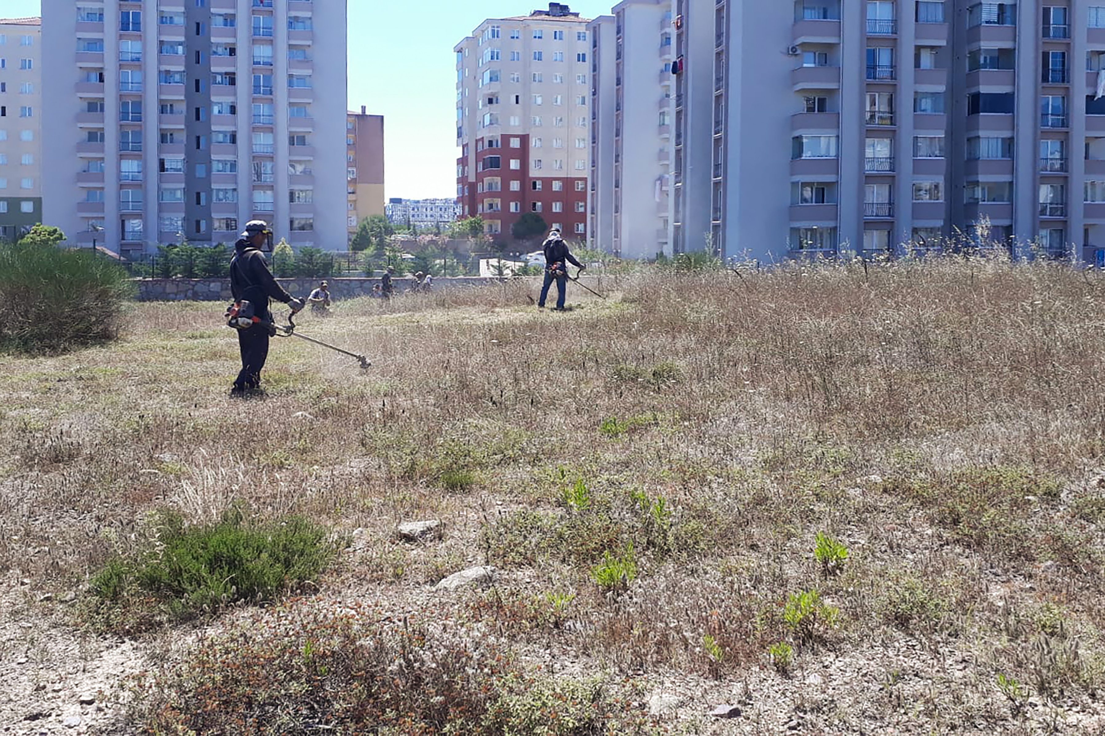 Pendik'te görüntü kirliliği yapan yabani otların temizliği sürüyor