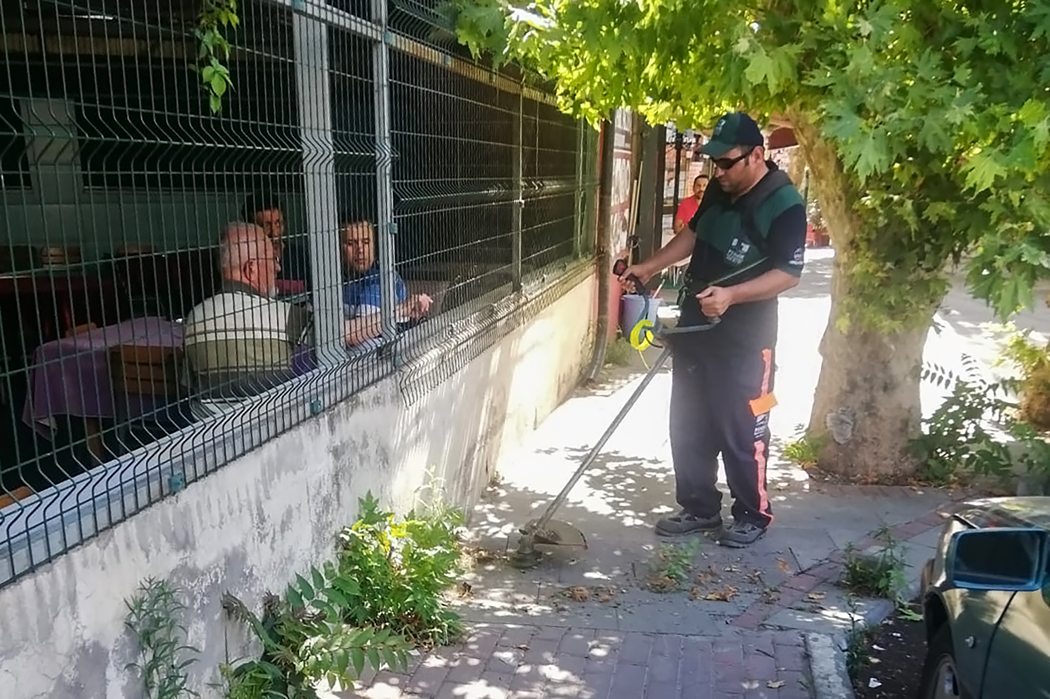 Pendik'te görüntü kirliliği yapan yabani otların temizliği sürüyor