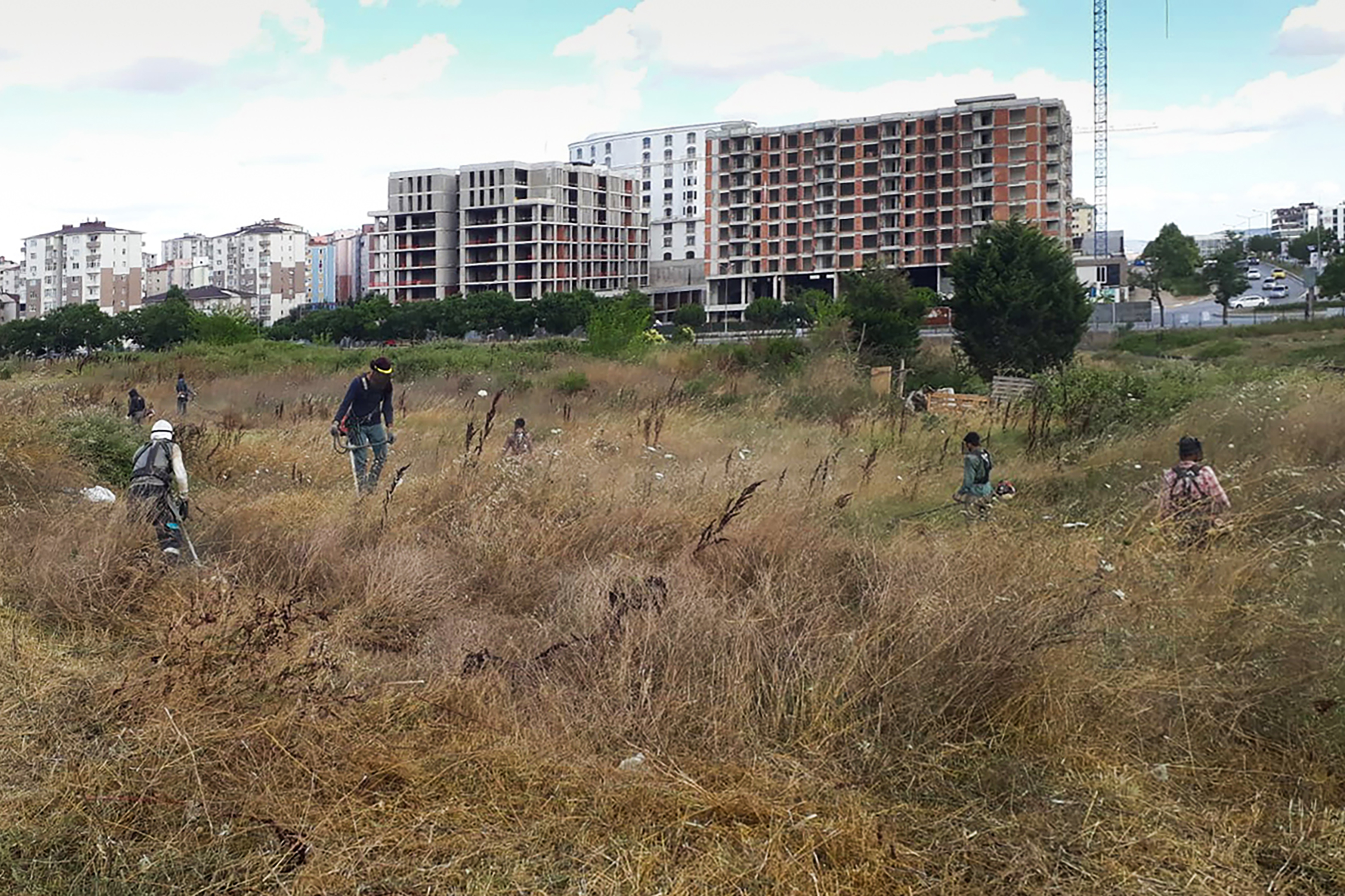 Pendik'te görüntü kirliliği yapan yabani otların temizliği sürüyor